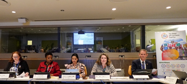 SDG Summit Side Event