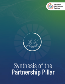 Partnership Pillar Report