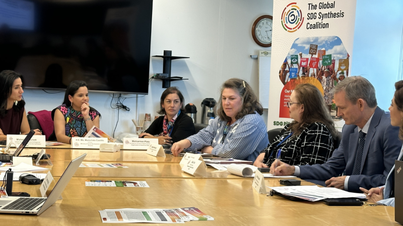 The Global SDG Synthesis Coalition