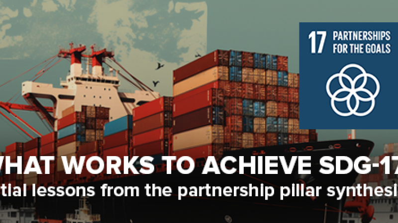What works to achieve SDG-17? Initial lessons from the partnership pillar synthesis